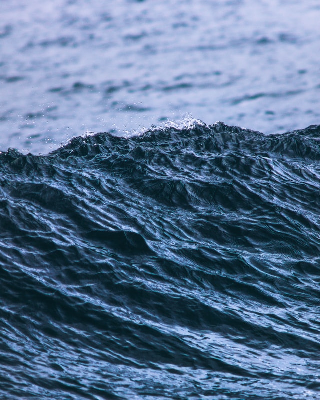 Surf